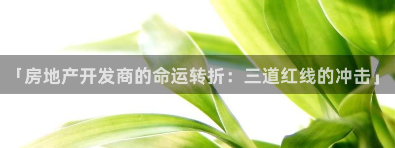 佛山永利工业皮带厂怎么样