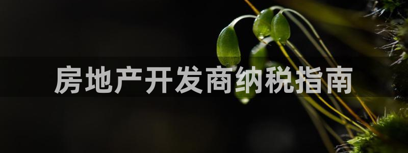 永利是啥意思