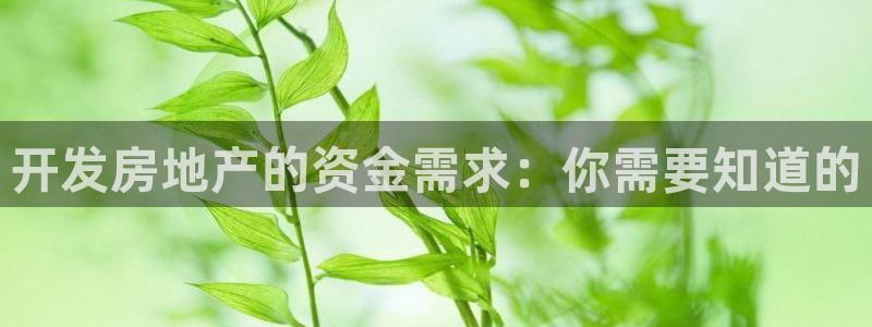 永利包装有限公司