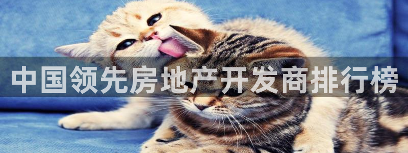 永利制带股票
