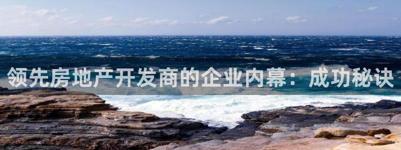永利输送带