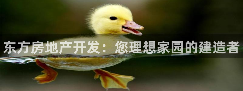 永利皮革有限公司