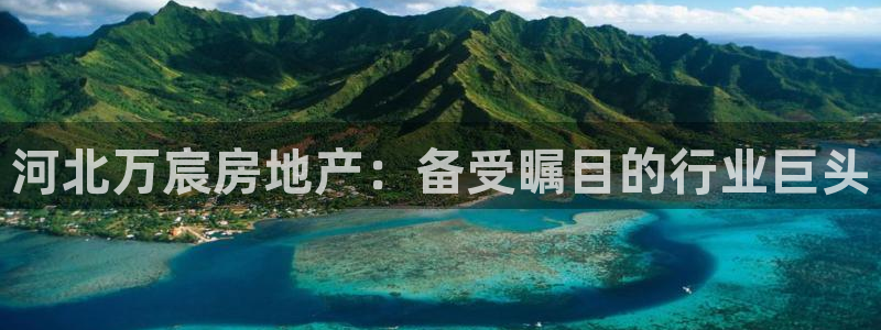 永利汇茶具官网