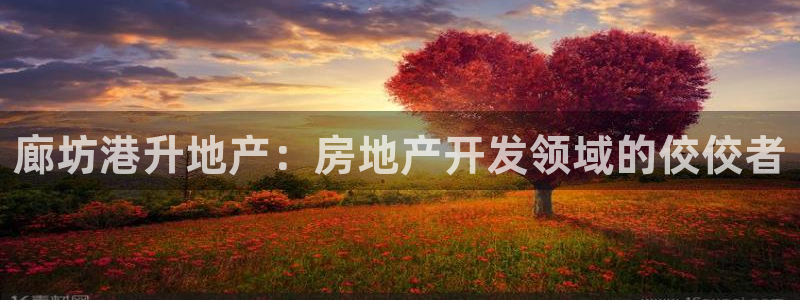 莱州永利集团