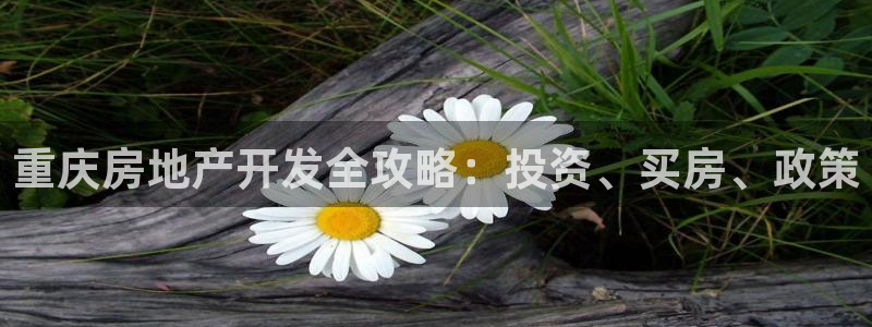 永利游乐城网址是什么