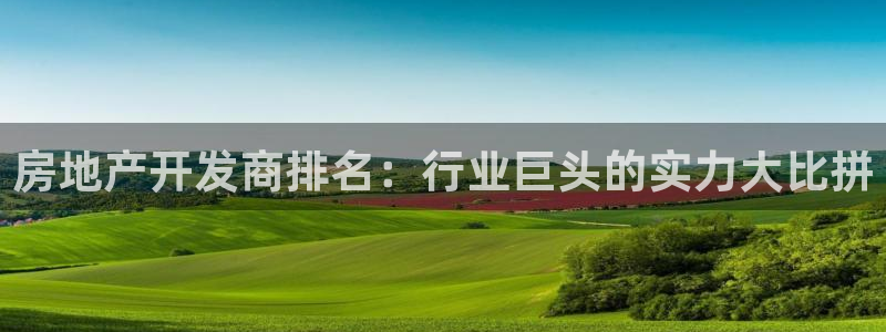 永利来织带
