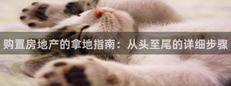 永利集团304am官方入口