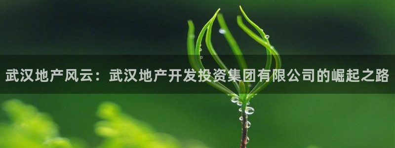 永利铔厂总技师长