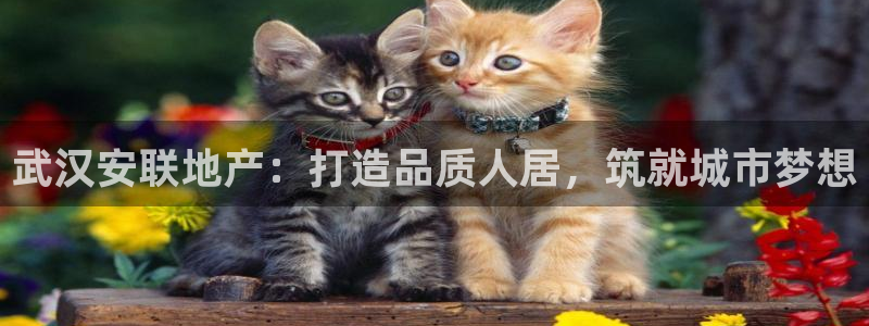 永利公司是做什么的
