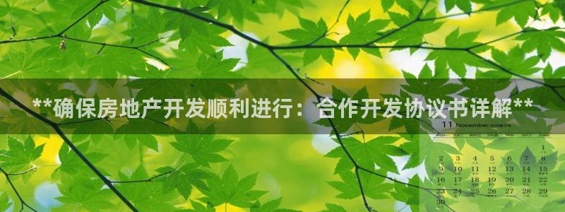 永利官网总站入口