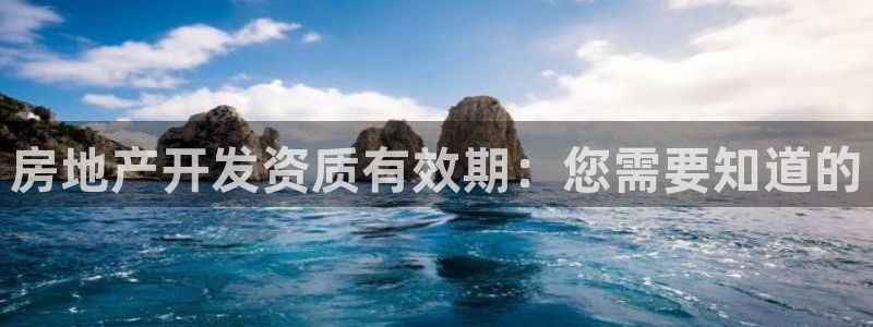 永利公司是干嘛的