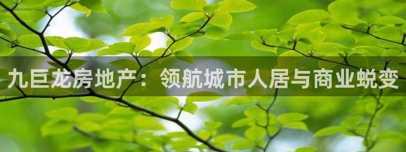 广州永利汇
