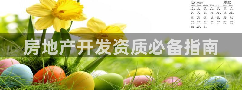 永利皮带型号