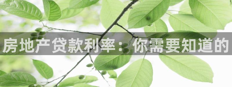 永利网是不是真的便宜