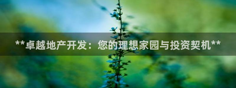 浙江永利集团董事长