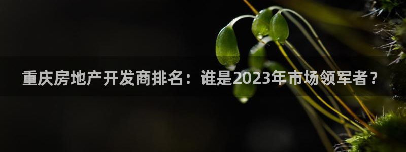 永利钱提不出来怎么办
