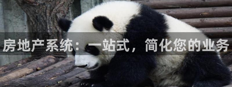 永利网9900777可靠吗