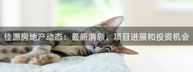 永利的老板是谁