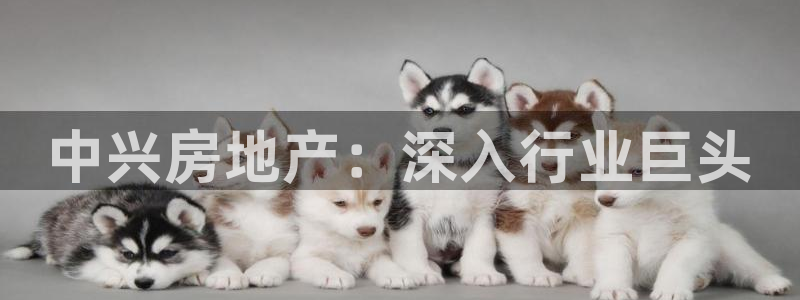 广州永利汇