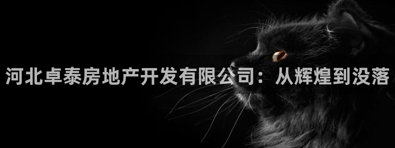 永利网是干什么的,能挣到钱吗?
