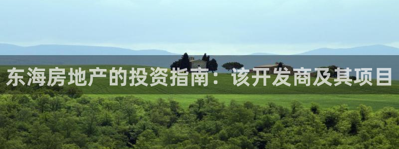 永利汇团购