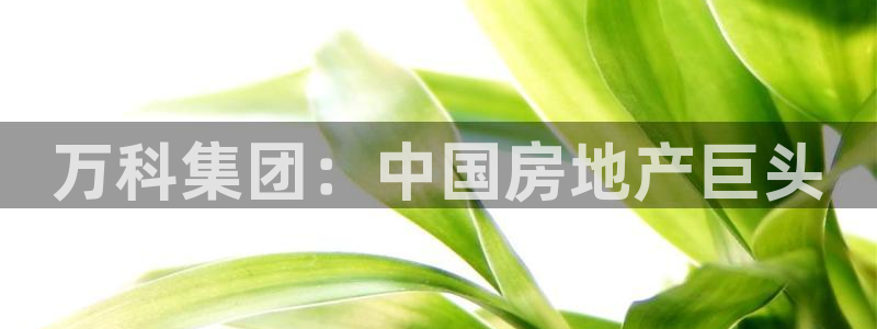 永利服装厂