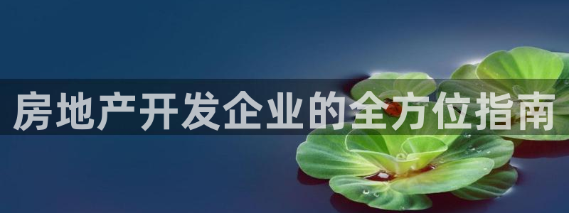 永利中国集团