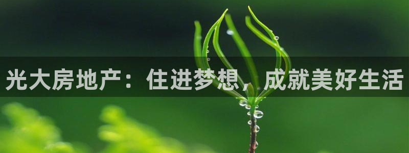 永利酒店购物