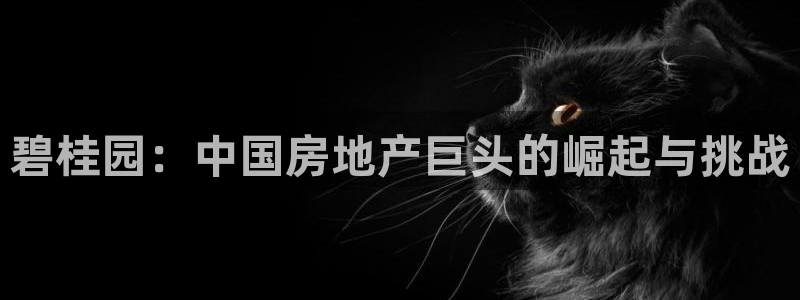 永利酒店有几家