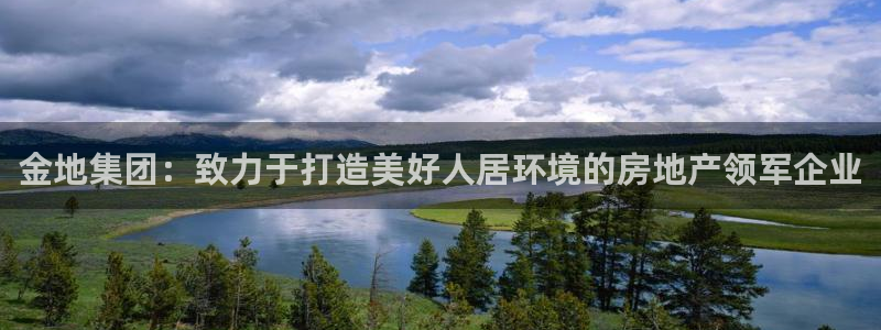 永利有限责任公司