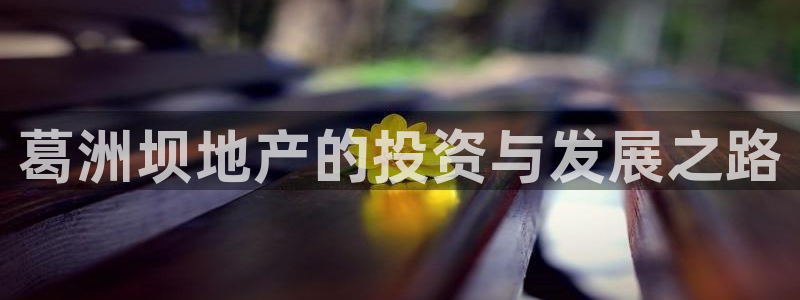 永利购物中心拆迁