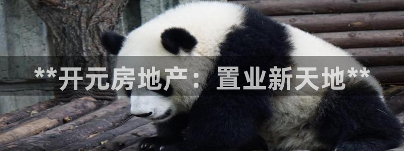 澳门永利购物中心