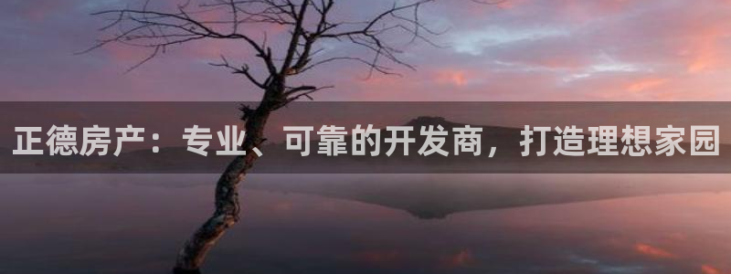 佛山永利工业皮带