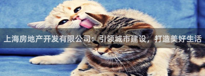 永利房地产有限公司董事长是谁