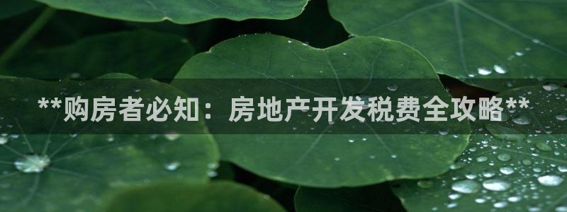 永利股份怎么样