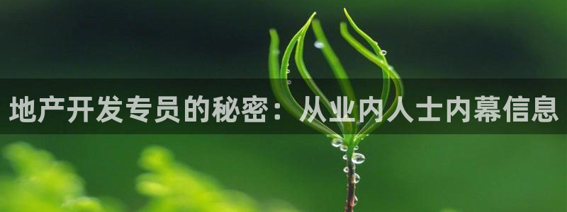 永利不给提款怎么办?