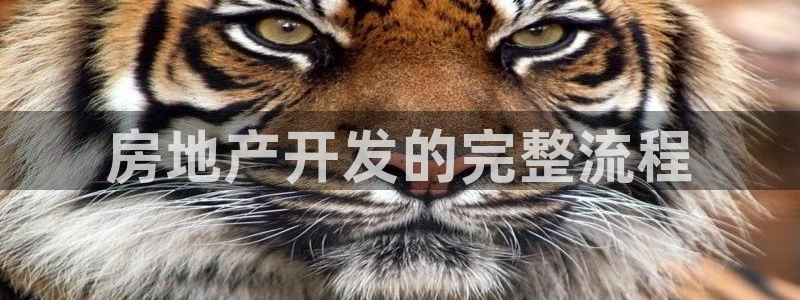 永利纺织