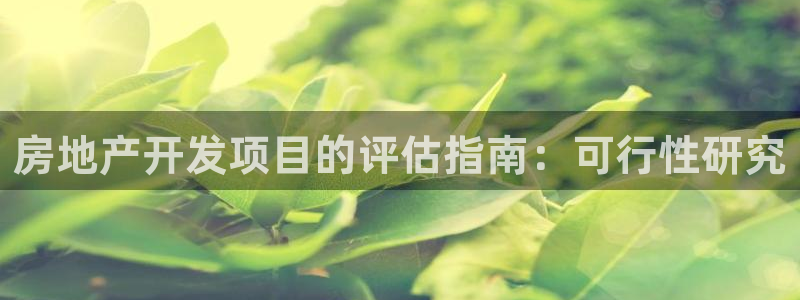 永利皮带型号说明