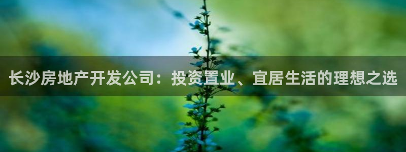 永利官网可信吗