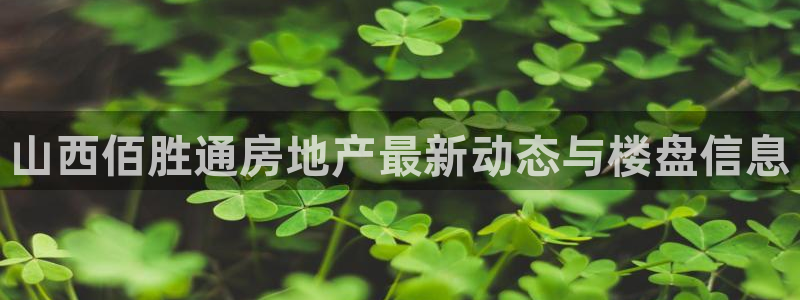 永利带业集团