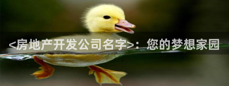 永利中国总裁