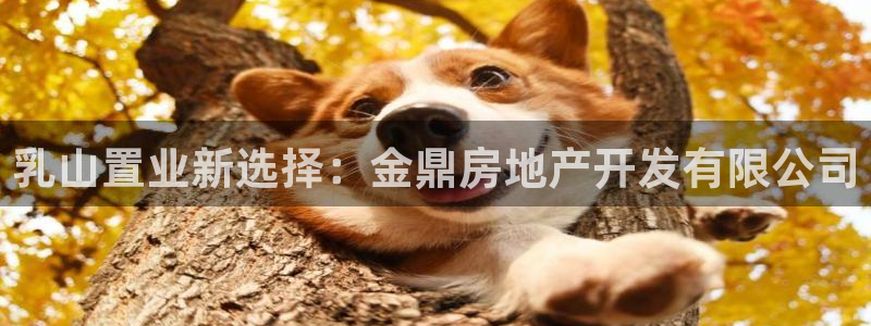 永利精工