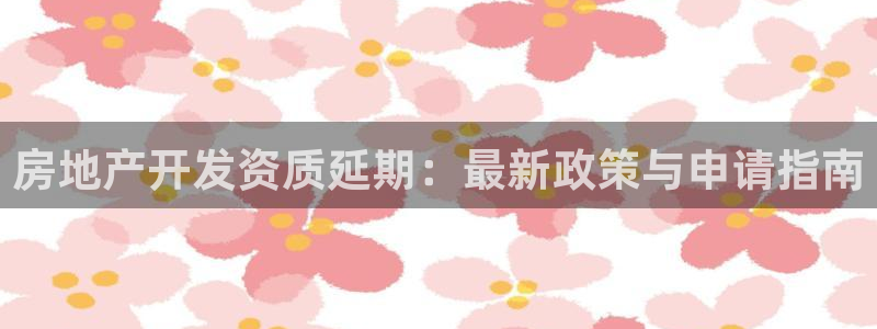 永利有限责任公司