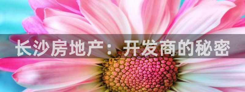 永利网是干什么的,能挣到钱吗是真的吗