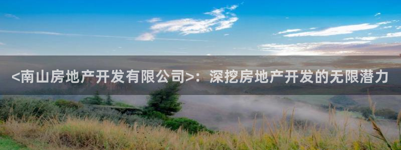 永利皮带报价