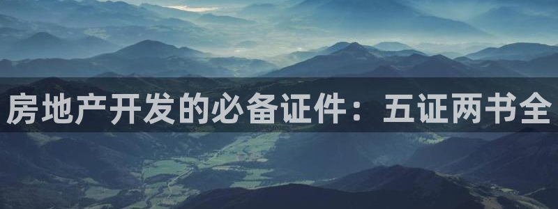 永利股份做什么