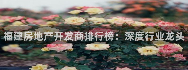 永利地产工程有限公司