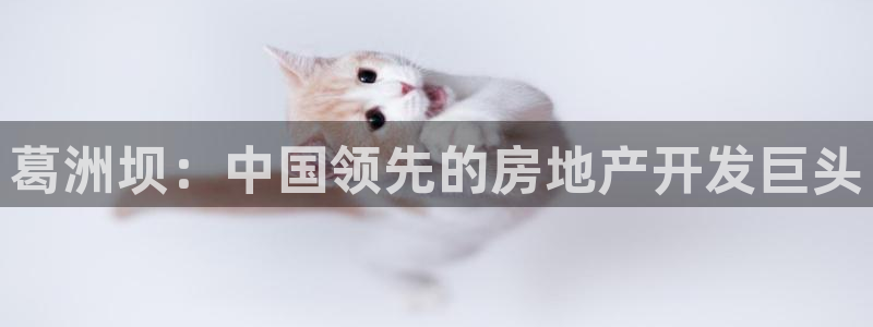 永利股份公告