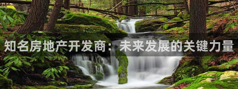 永利股份做什么