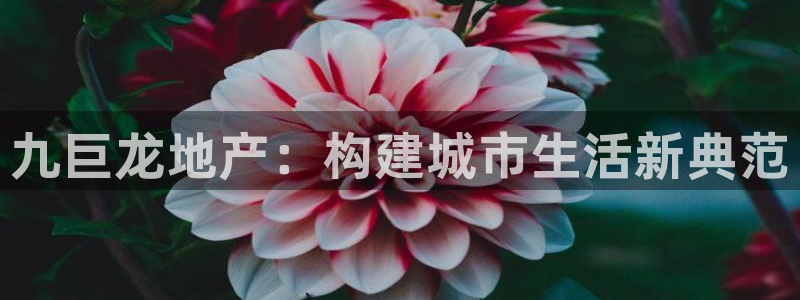 永利皮带报价查询